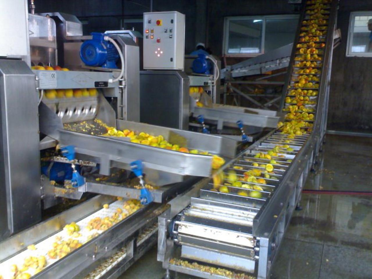 全套水果罐头生产设备 果蔬罐头灌装生产线 黄桃罐头加工设备